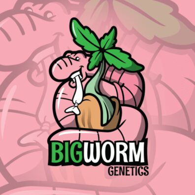 Big Worm Genetics