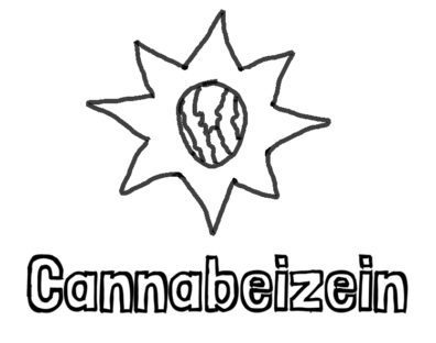 Cannabeizein