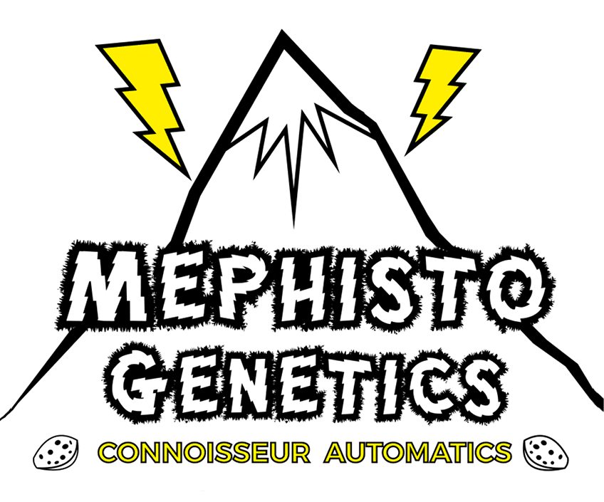 Mephisto Genetics Feminized Autoflower Seeds