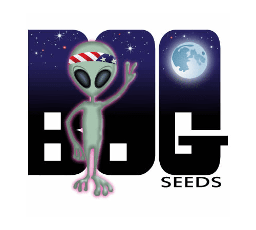 SourBluTooth (Blue Moon Rocks x Sweet Cindy X Sour Bubble) 13 Regular Seeds