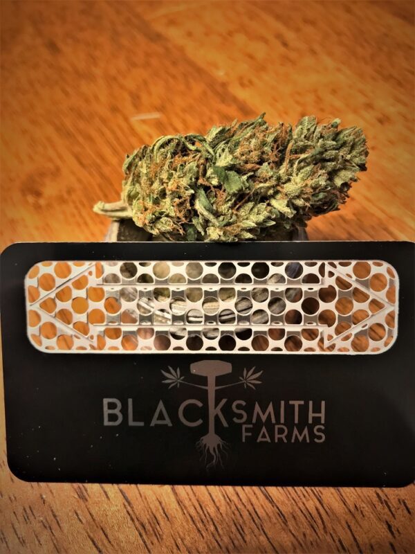 JEM F9 Auto 10 Regular Autoflowering Seeds