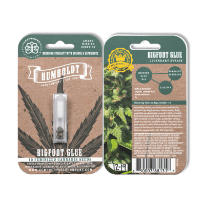 Bigfoot Glue Bx4 (Humboldt Headband x GG#4) 10 Feminized Seeds