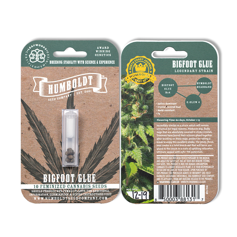 Bigfoot Glue Bx4 (Humboldt Headband x GG#4) 10 Feminized Seeds