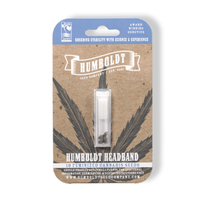 Humboldt Headband F4 10 Feminized Seeds