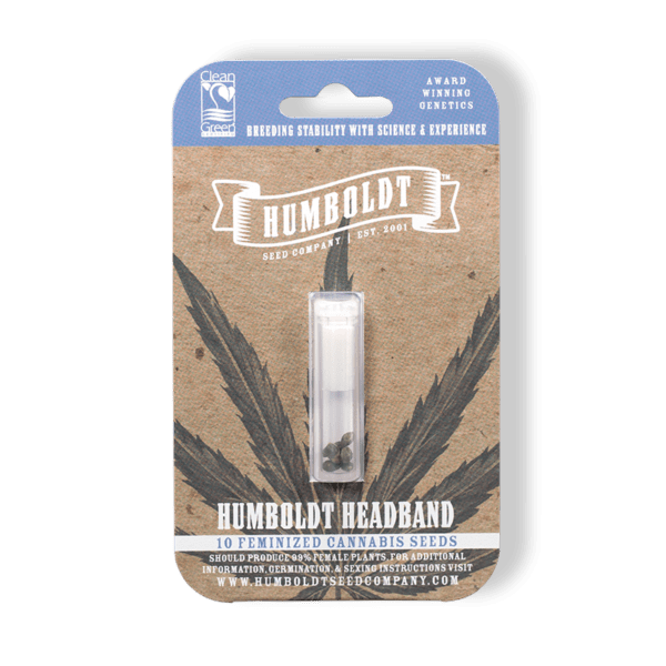 Humboldt Headband F4 10 Feminized Seeds