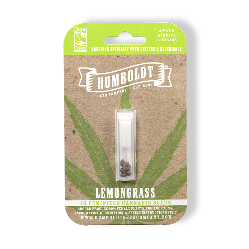 Lemongrass F4 10 Feminized Seeds