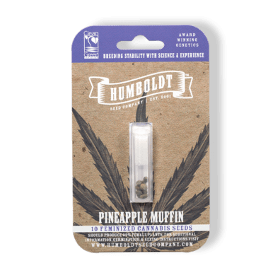 Pineapple Muffin F4 10 Feminized Seeds