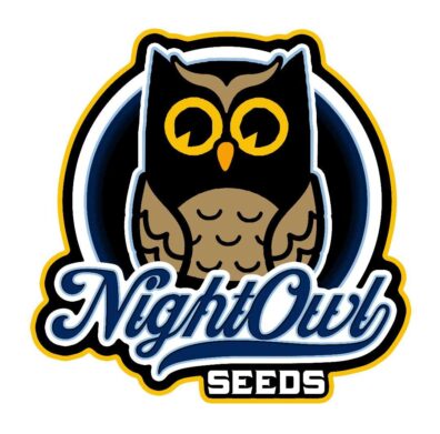 Night Owl Seeds
