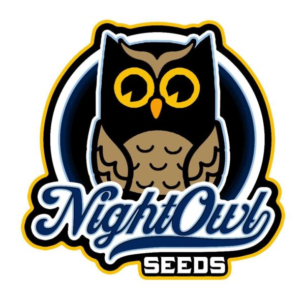 Night Owl Seeds