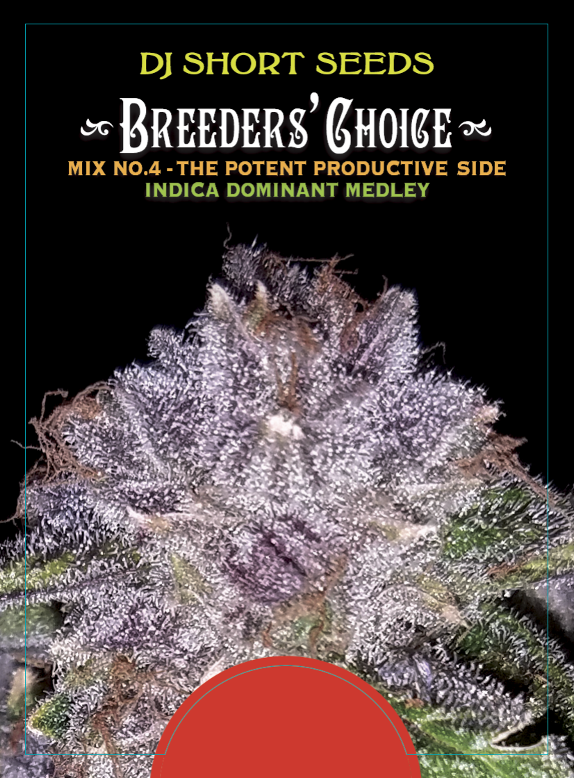 DJ Short's Breeders’ Choice Mix # 4 16 Regular Seeds - Image 2