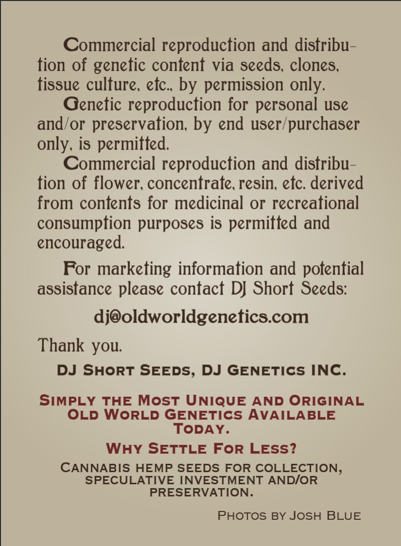 DJ Short's Breeders’ Choice Mix # 4 16 Regular Seeds - Image 5