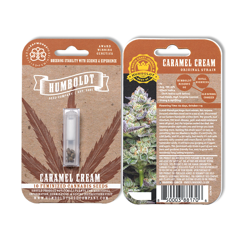 Caramel Cream F2 10 Feminized Seeds
