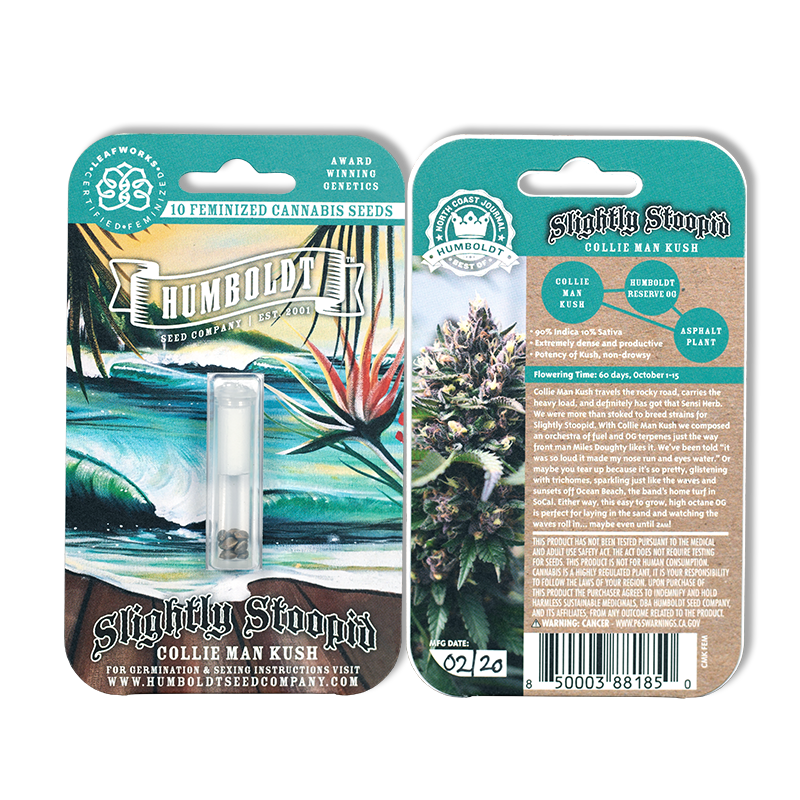 Collie Man Kush 10 Feminized Seeds