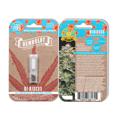 Hi-Biscus 10 Feminized Seeds