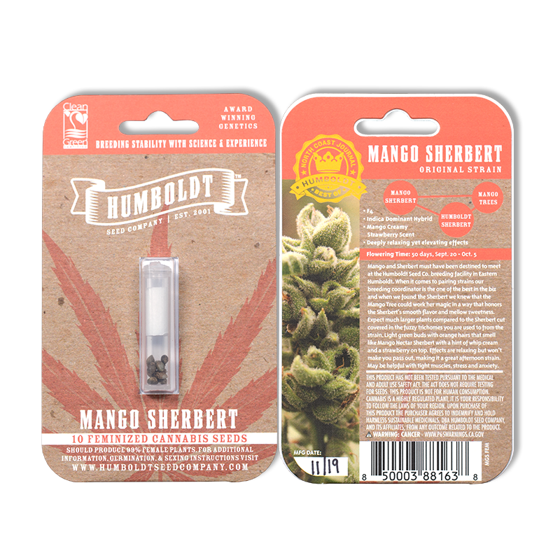 Mango Sherbert F3 10 Feminized Seeds