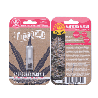 Raspberry Parfait F1 10 Feminized Seeds