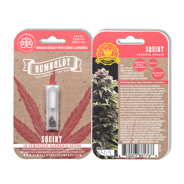 Squirt Bx3 10 Feminized Seeds