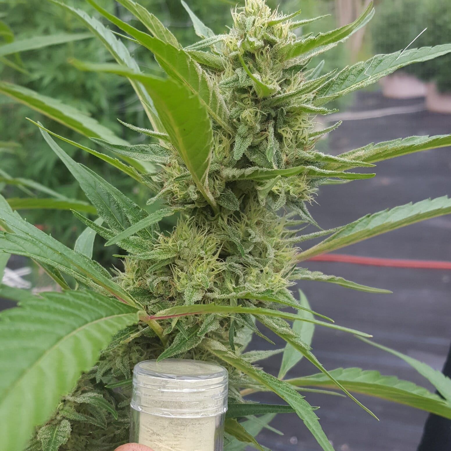Project25outdoors