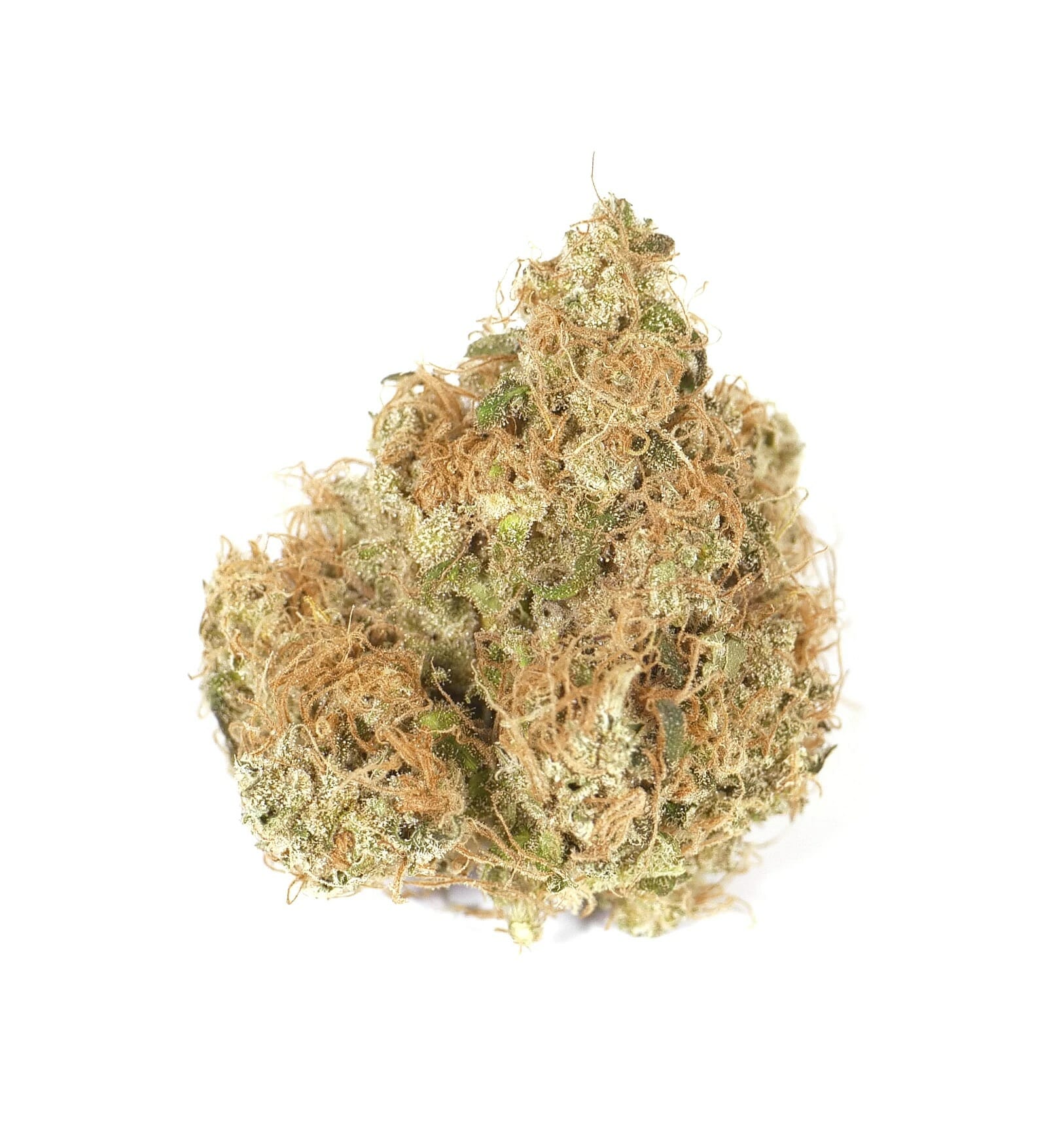 Pak Man (Praying Mantis x Swabi Pakistani) 7 Feminized Seeds - Image 5