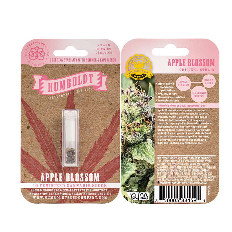 Apple Blossom 20 Regular Seeds