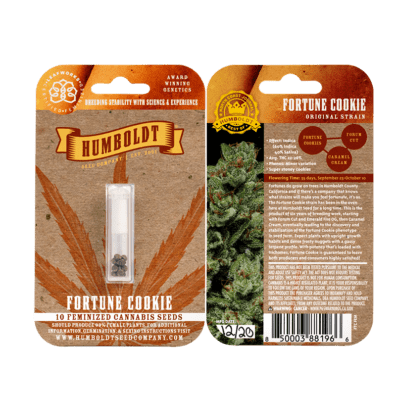 Fortune Cookie 10 Feminized Seeds