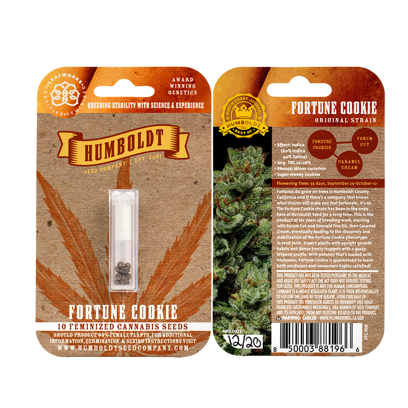 Fortune Cookie 10 Feminized Seeds