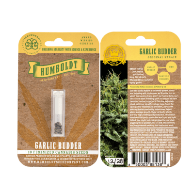 Garlic Budder 10 Feminized Seeds