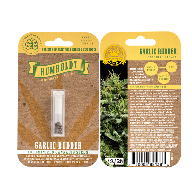 Garlic Budder 10 Feminized Seeds