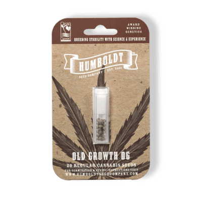 Old Growth OG 10 Feminized Seeds