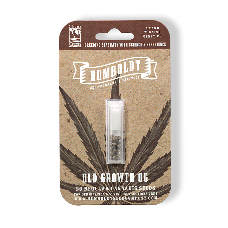 Old Growth OG 10 Feminized Seeds