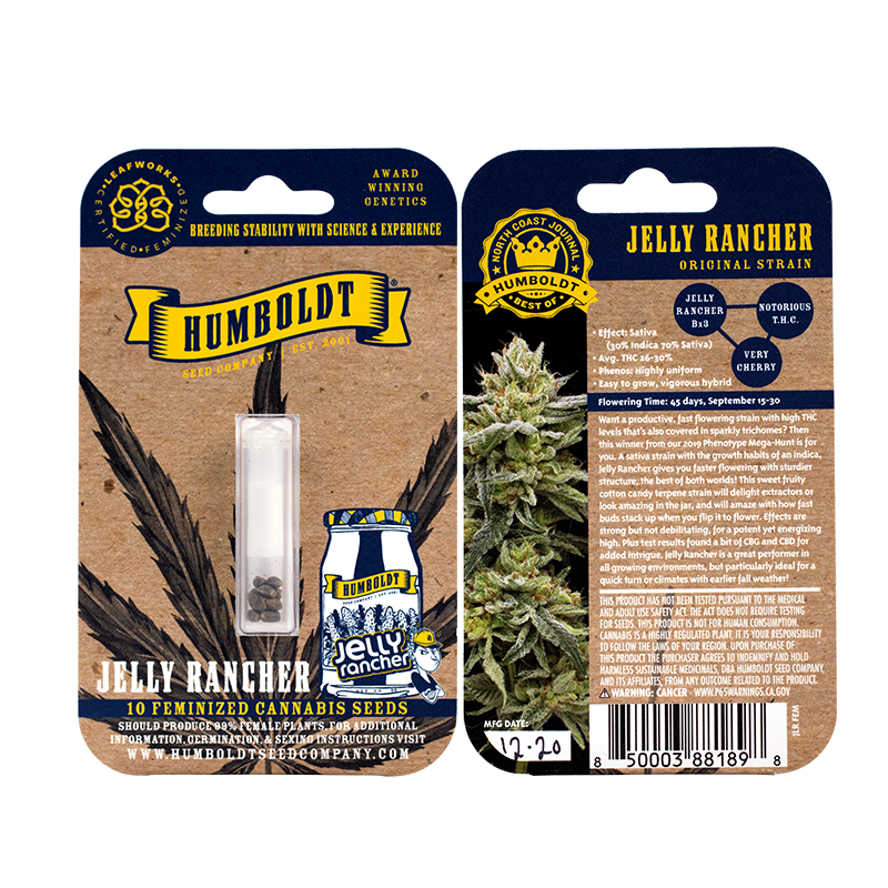 Hella Jelly Bx3 10 Feminized Seeds