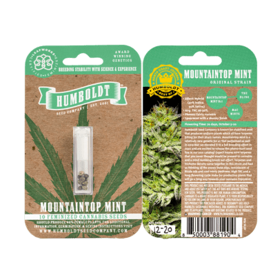 Mountaintop Mint Bx1 10 Feminized Seeds
