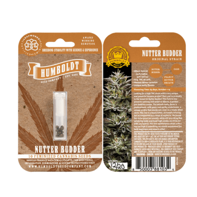Nutter Budder 10 Feminized Seeds