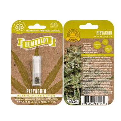 Pistachio Bx2 10 Feminized Seeds