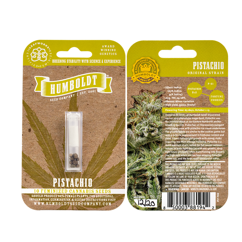 Pistachio Bx2 10 Feminized Seeds