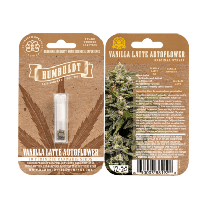 Vanilla Latte Auto 5 Feminized Autoflower Seeds