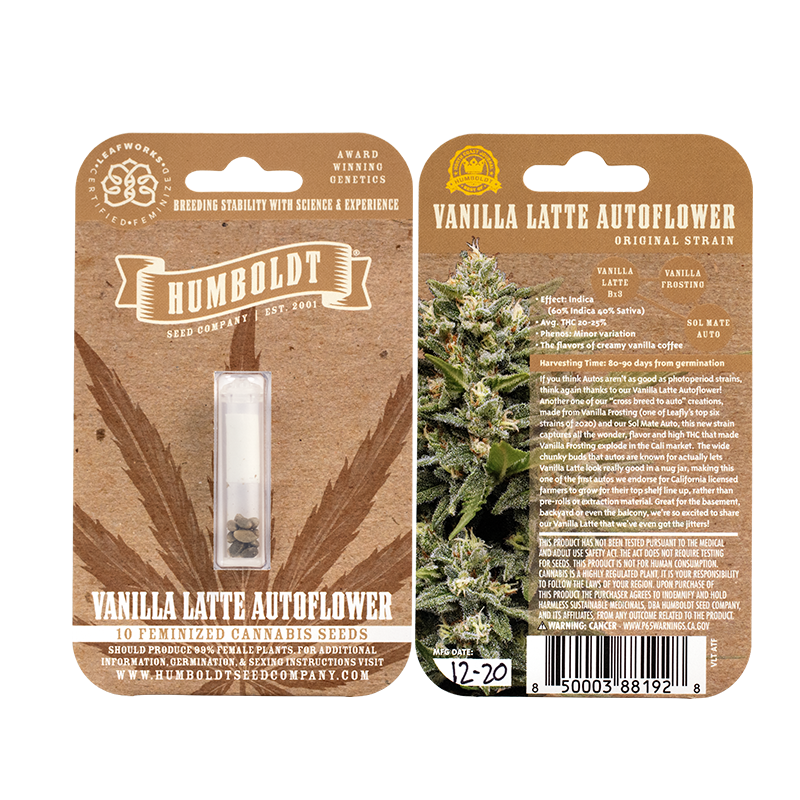 Vanilla Latte Auto 5 Feminized Autoflower Seeds