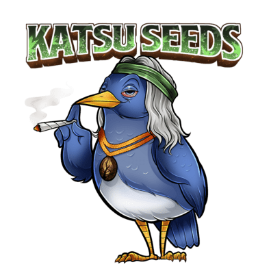 Bubba Payton F1 (Gary Payton x Pre98 Bubba Kush) 6 Feminized Seeds