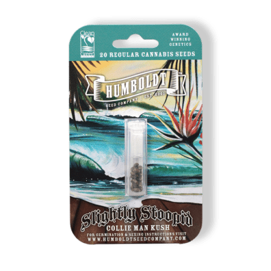 Collie Man Kush 20 Regular Seeds