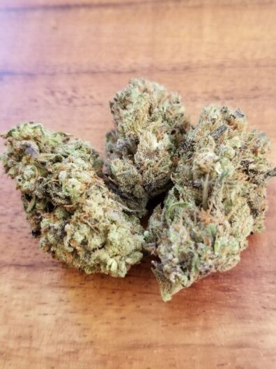 American Skunk Select Colombian F1 10 Regular Seeds