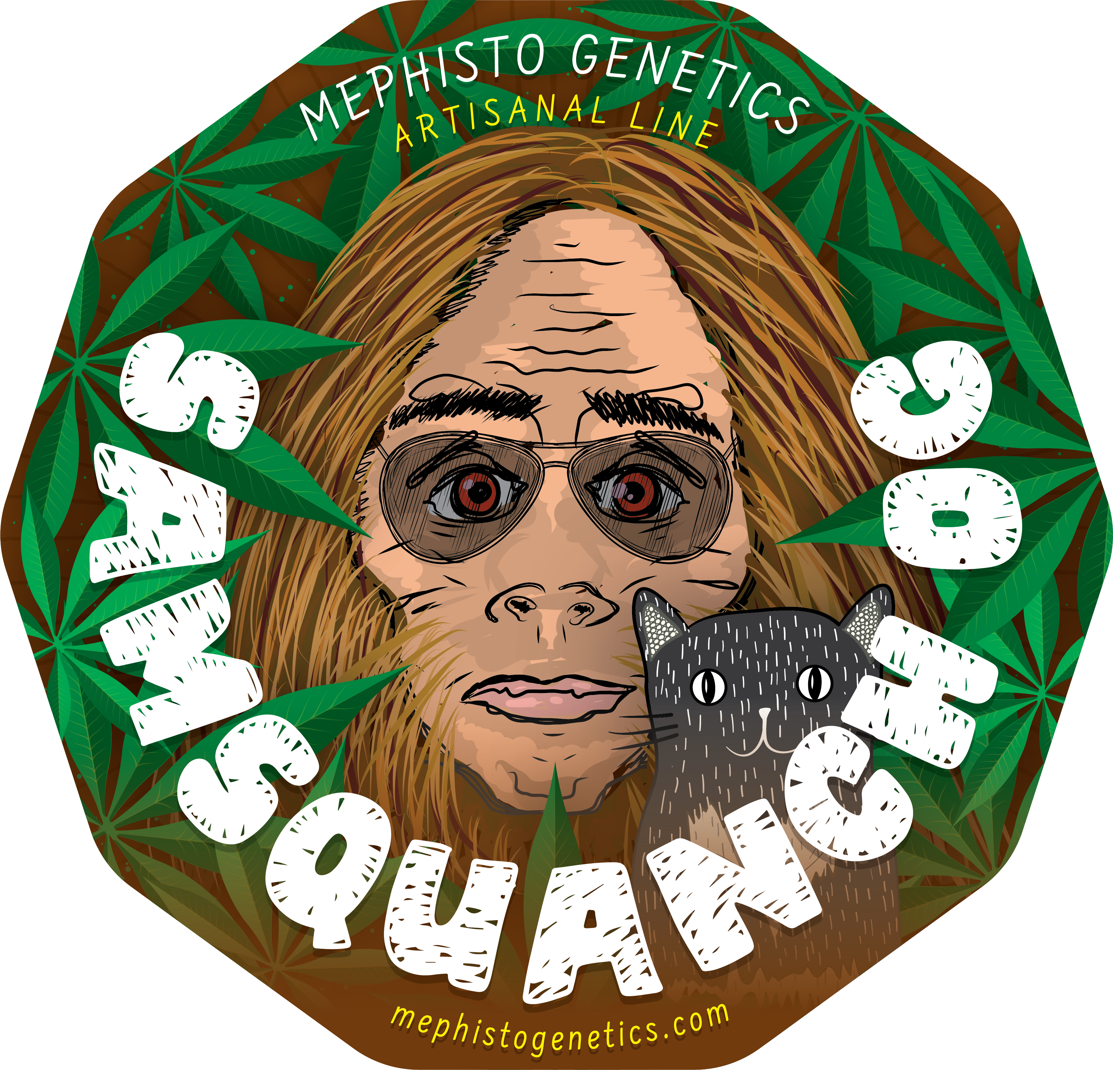 Samsquanch OG F6 Auto 3 Feminized Autoflower Seeds - Image 4