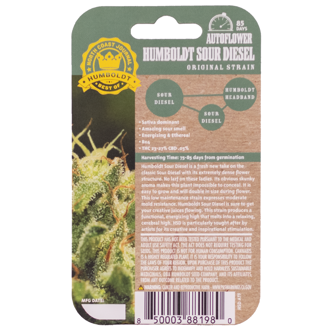 Humboldt Sour Diesel Bx4 Auto 5 Autoflower Seeds - Image 3