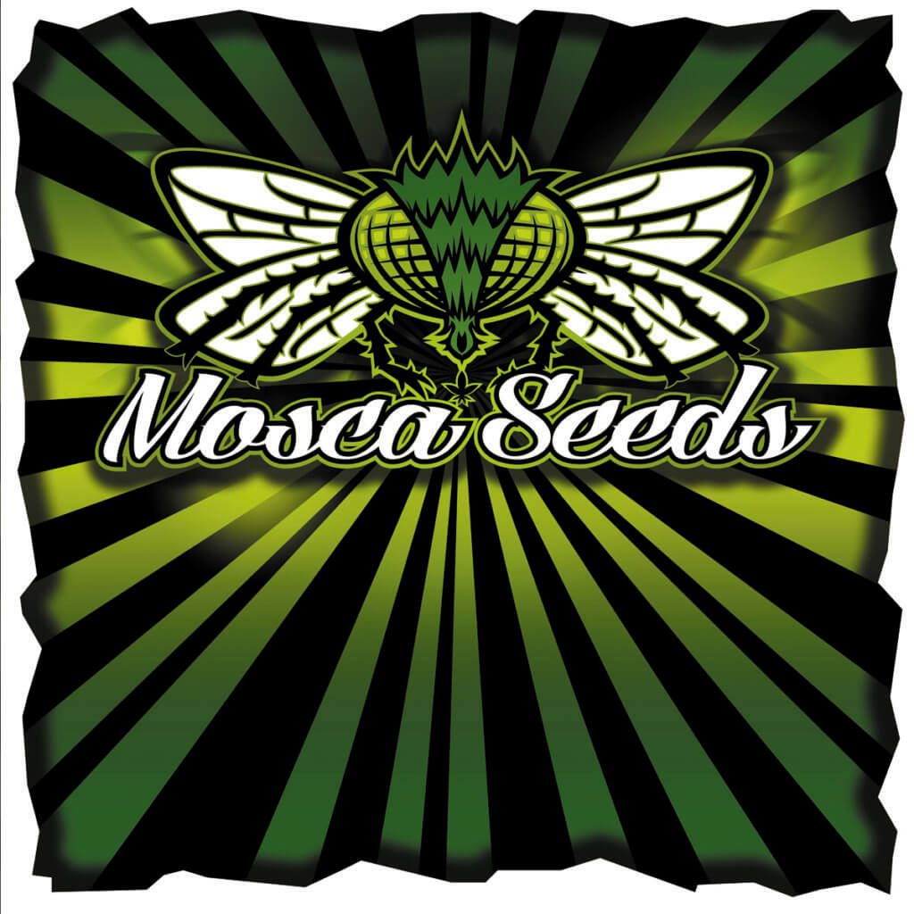 Mosca Seeds