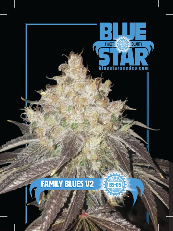 Family Blues v2 (Dj Short 98 F4 Blueberry X Blue Star) 10 Regular Seeds