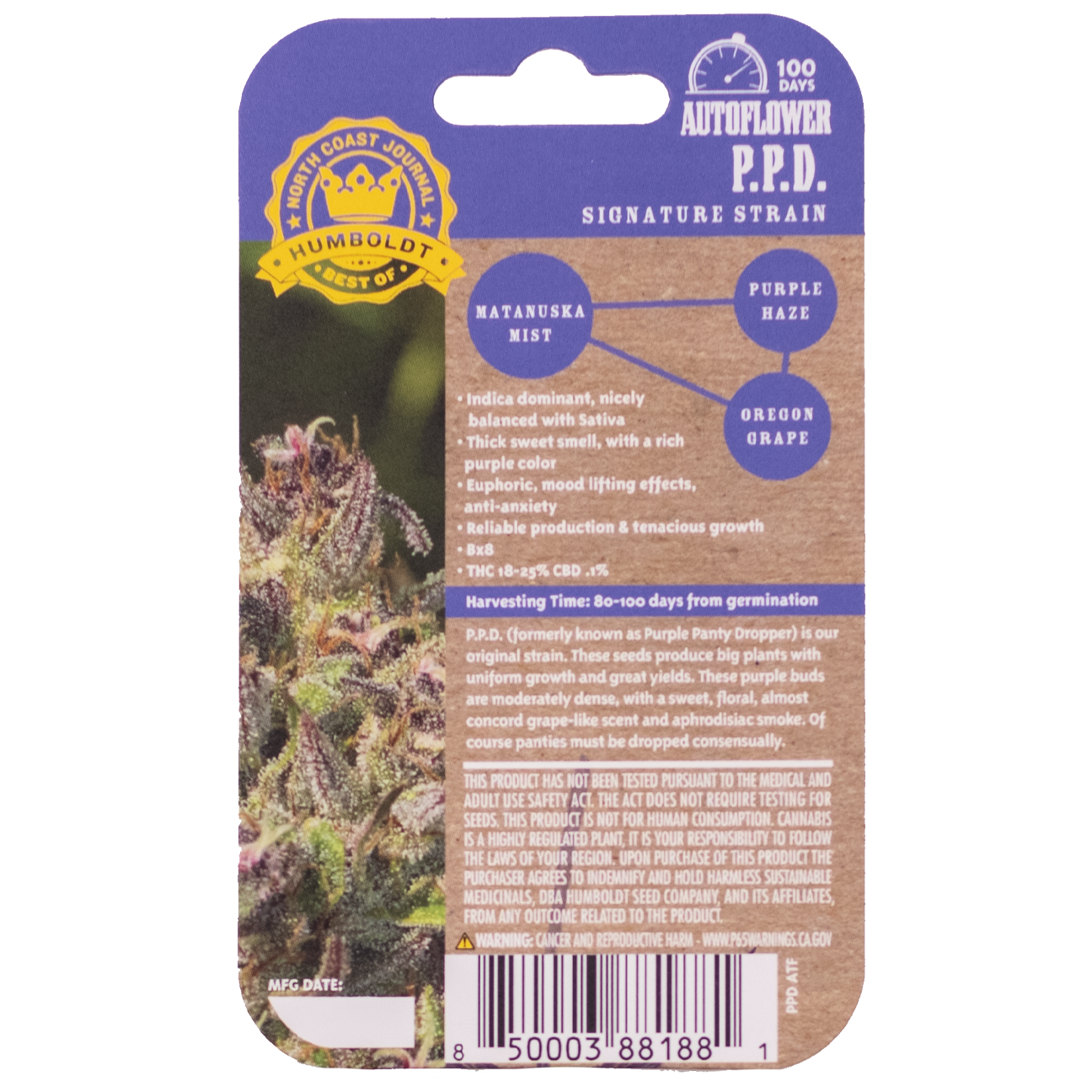 P.P.D Bx8 Auto 5 Feminized Autoflower Seeds - Image 3