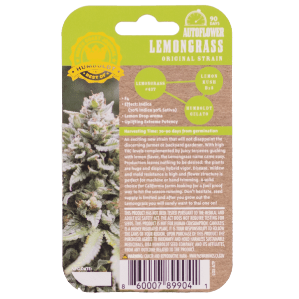 Lemongrass F4 Auto 5 Feminized Autoflower Seeds - Image 3