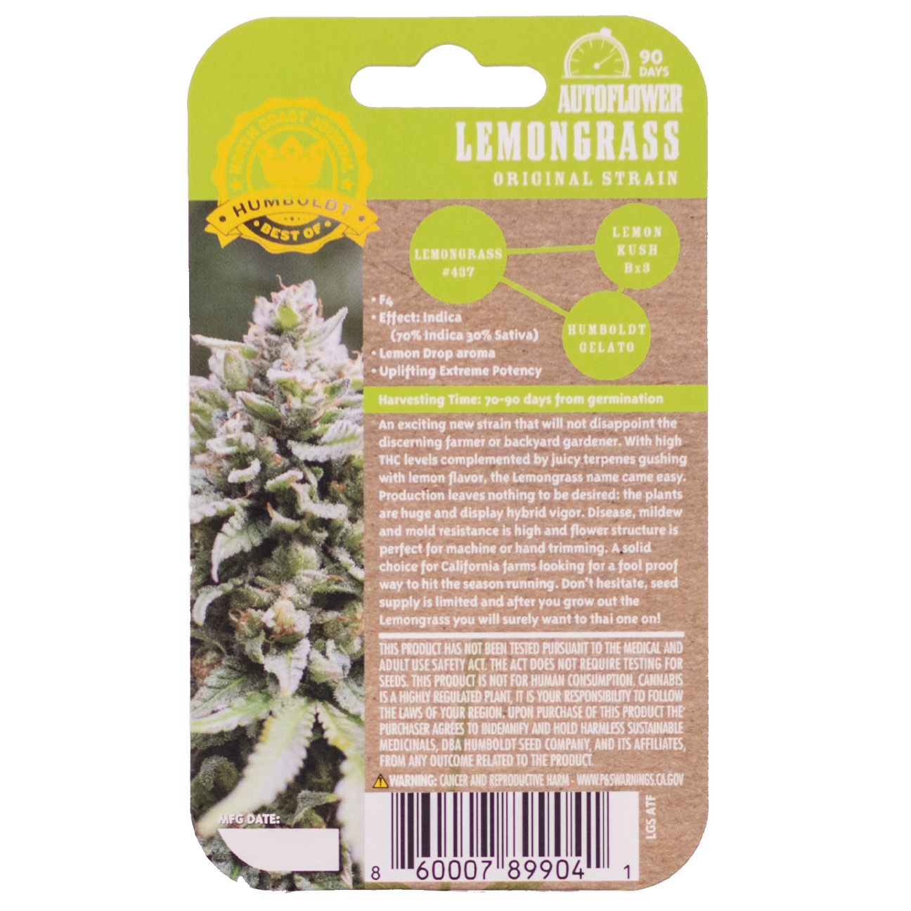 Lemongrass F4 Auto 5 Feminized Autoflower Seeds - Image 3