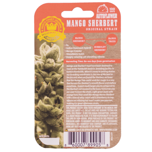 Mango Sherbert F3 Auto 5 Feminized Autoflowering Seeds - Image 3