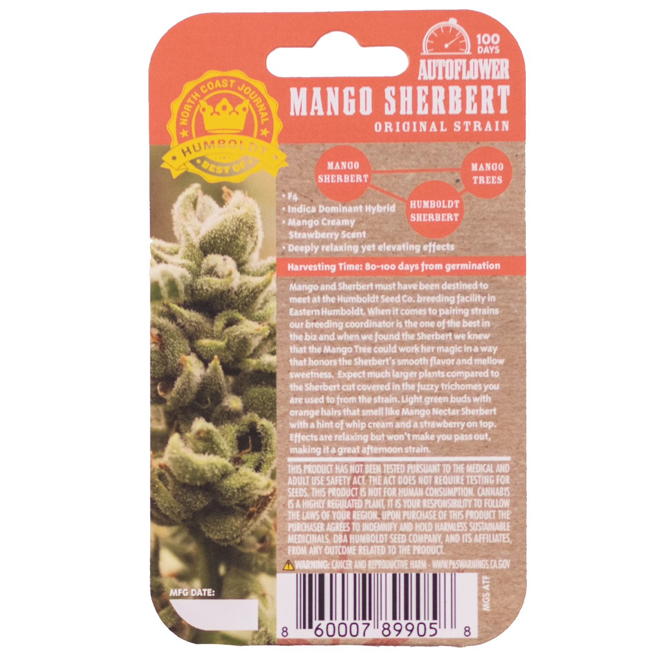 Mango Sherbert F3 Auto 5 Feminized Autoflowering Seeds - Image 3