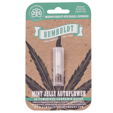 Mint Jelly Auto 5 Feminized Autoflower Seeds